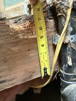 Dry rot damage measured on a floor joist during a repair evaluation