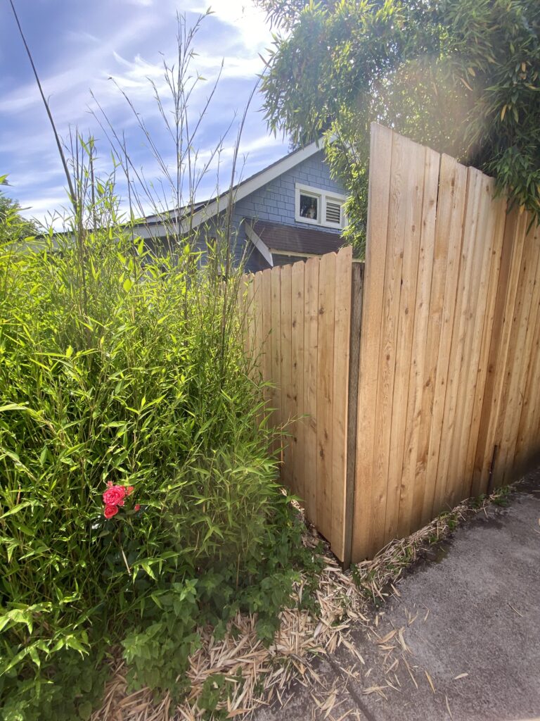 4ft to 6ft transition for viewing on one side and privacy for the other side in Junction City, Oregon.