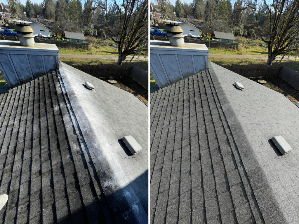 Roof moss removal in Junction City, Oregon showing a cleaned roof surface after moss and debris were removed to improve drainage and extend roof life.