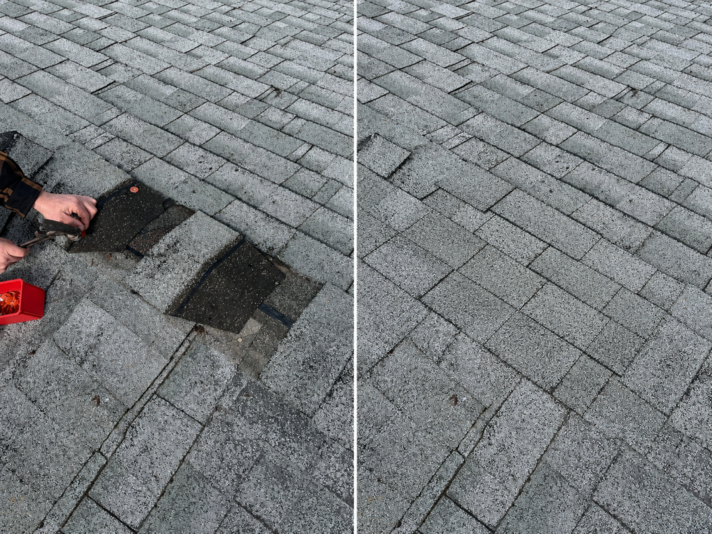 Roof shingle repair in Springfield, Oregon showing damaged asphalt shingles replaced to restore the roof surface and prevent leaks.